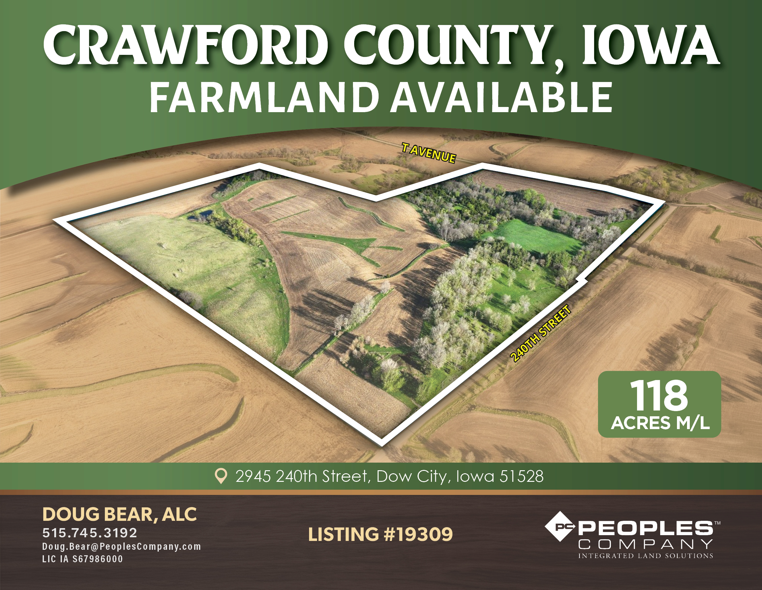 Listing #19309